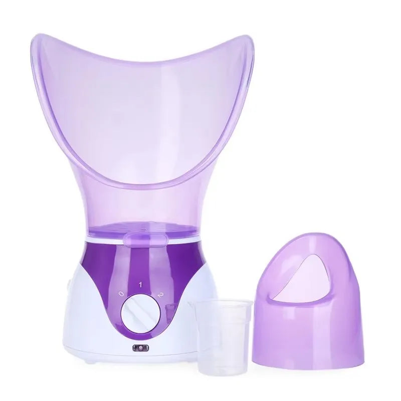 Mini Facial Steamer