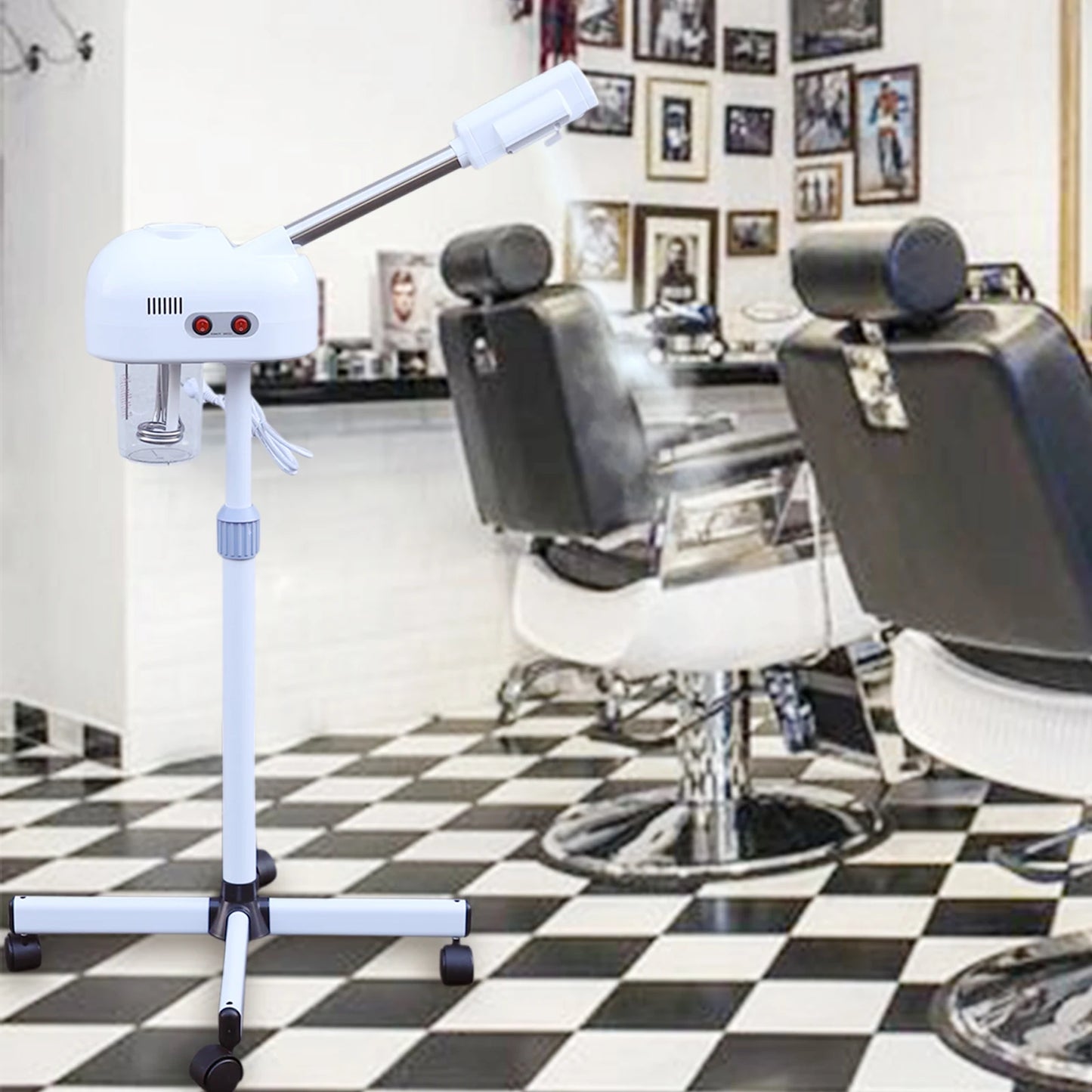 Professional Ozone Facial Steamer